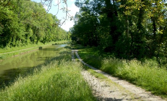 Canal du Nivernais - Aménagement de parcours