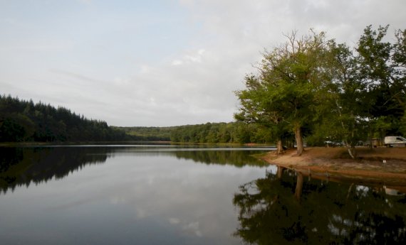 Etang du Merle  (Crux-la-Ville)  - Pêche interdite