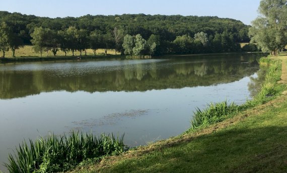 Information aux pêcheurs : étang de la tanche à Imphy -  interdiction temporaire de pêche.