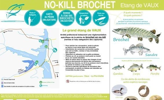 No-Kill Brochet au Grand étang de Vaux