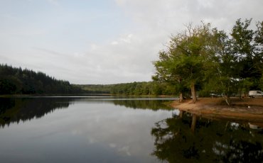 Etang du Merle  (Crux-la-Ville)  - Pêche interdite