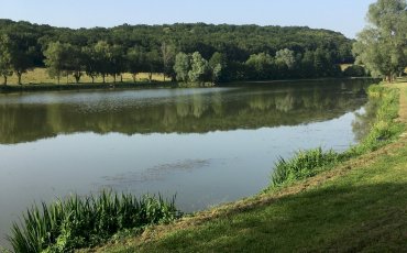 Information aux pêcheurs : étang de la tanche à Imphy -  interdiction temporaire de pêche.